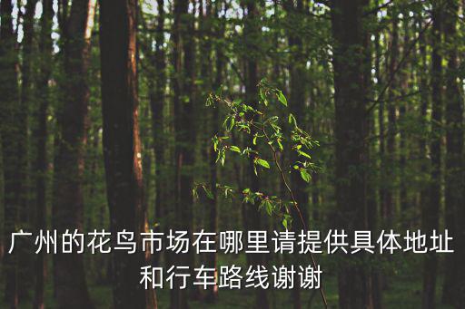 廣州的花鳥市場在哪里請提供具體地址和行車路線謝謝