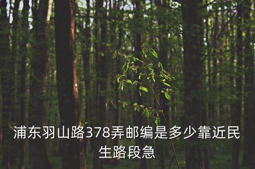 浦東羽山路378弄郵編是多少靠近民生路段急