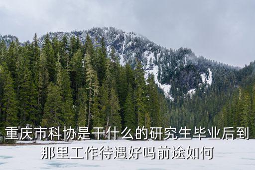 重慶市委人才辦曹景武，重慶市人才交流服務中心的業務受理點
