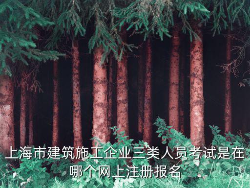 上海市建筑施工企業(yè)三類(lèi)人員考試是在哪個(gè)網(wǎng)上注冊(cè)報(bào)名