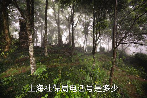 上海市大場鎮社保中心，上海社保局電話號是多少