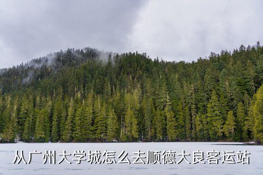 從廣州大學(xué)城搭輕軌到順德輕軌站，從廣州搭城軌可以去到順德大良嗎
