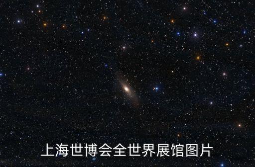 上海市 七一 圖片展，這個照片是在上海那里