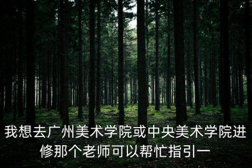 我想去廣州美術學院或中央美術學院進修那個老師可以幫忙指引一