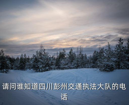 請問誰知道四川彭州交通執(zhí)法大隊的電話