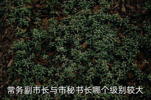 常務(wù)副市長與市秘書長哪個級別較大
