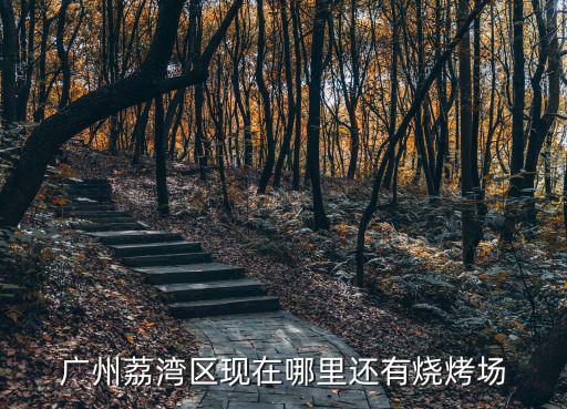 廣州芳村燒烤場，廣州荔灣區現在哪里還有燒烤場