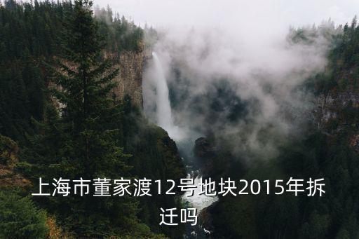 上海市董家渡12號地塊2015年拆遷嗎