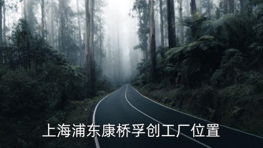 上海市浦東新區康橋鎮康安路818號，上海浦東新區康橋鎮計生辦的地址