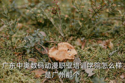 廣東中奧數(shù)碼動(dòng)漫職業(yè)培訓(xùn)學(xué)院怎么樣是廣州那個(gè)
