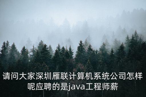 請問大家深圳雁聯計算機系統公司怎樣呢應聘的是java工程師薪