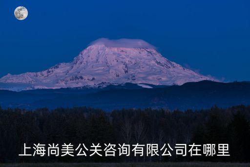 上海市寧波路726號公關，上海市嘉定區滬誼公路3199號是什么公司