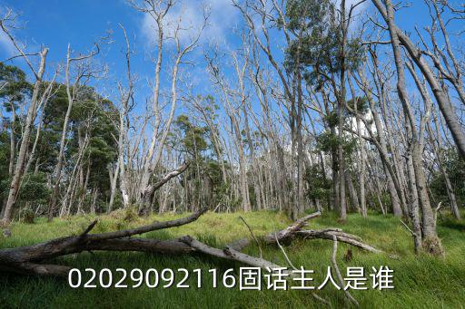 02029092116固話主人是誰(shuí)