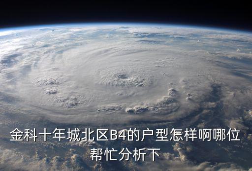 金科十年城北區B4的戶型怎樣啊哪位幫忙分析下