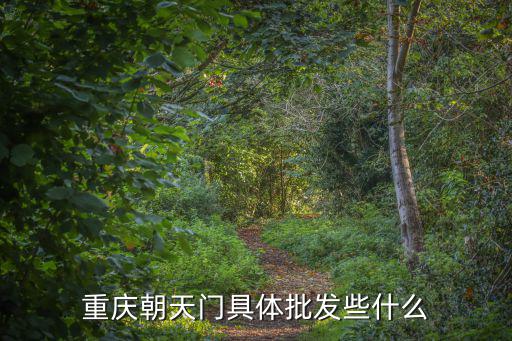 重慶朝天門具體批發些什么