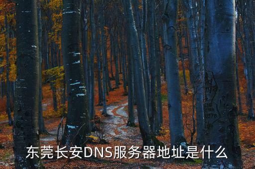 東莞長安DNS服務器地址是什么