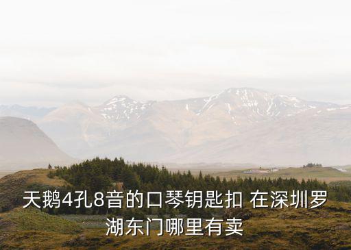 深圳鑰匙扣，深圳那有買水晶球鞋鑰匙扣啊