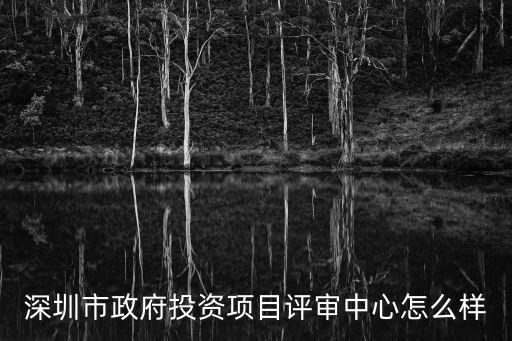 深圳市政府投資項(xiàng)目評(píng)審中心怎么樣