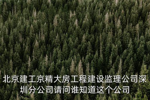 北京建工京精大房工程建設(shè)監(jiān)理公司深圳分公司請問誰知道這個公司