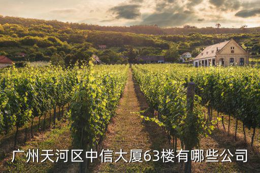 廣州天河區中信大廈63樓有哪些公司