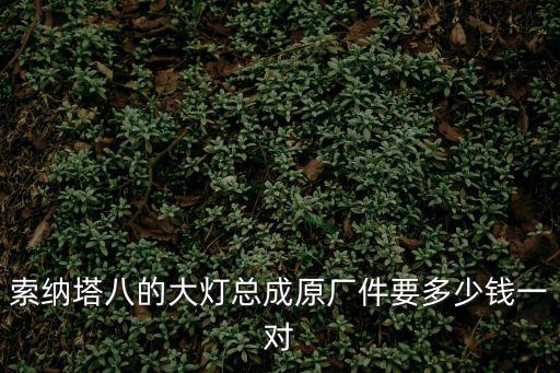 索納塔八的大燈總成原廠件要多少錢一對