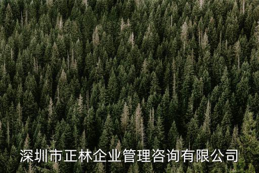 深圳市正林企業(yè)管理咨詢有限公司