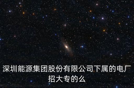 深圳能源集團(tuán)股份有限公司下屬的電廠(chǎng)招大專(zhuān)的么