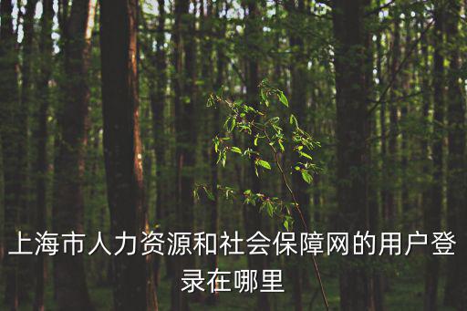 上海市人力資源和社會(huì)保障網(wǎng)的用戶登錄在哪里