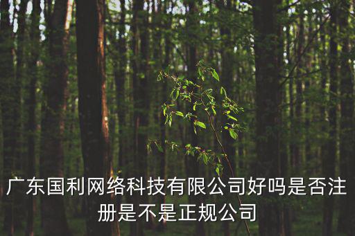 廣東國利網絡科技有限公司好嗎是否注冊是不是正規公司