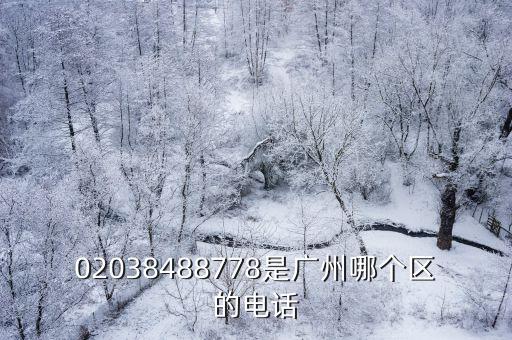 02038488778是廣州哪個(gè)區(qū)的電話