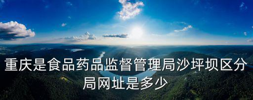重慶是食品藥品監督管理局沙坪壩區分局網址是多少