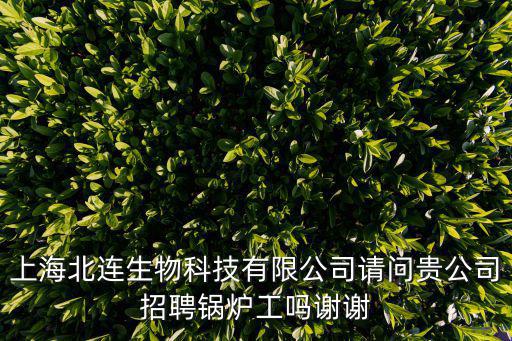 上海市鍋爐運行招聘，上海市普陀區金昌路威威網是否招工