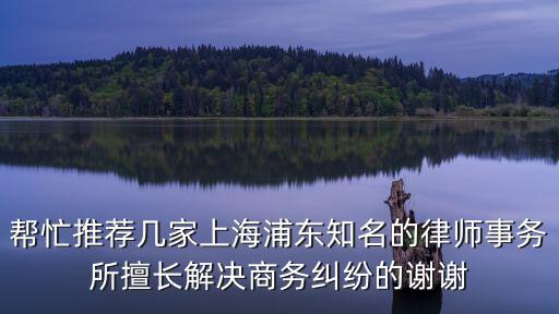 幫忙推薦幾家上海浦東知名的律師事務(wù)所擅長(zhǎng)解決商務(wù)糾紛的謝謝