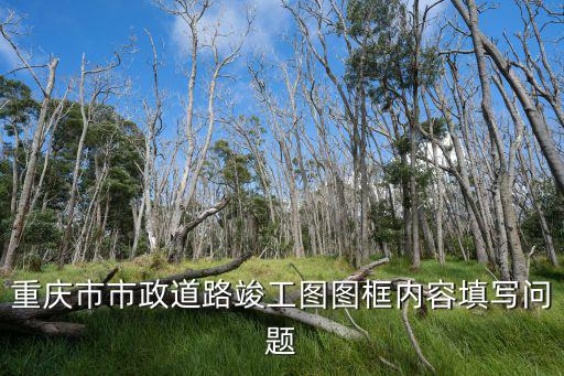 重慶市市政道路竣工圖圖框內容填寫問題