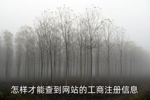 怎樣才能查到網(wǎng)站的工商注冊信息