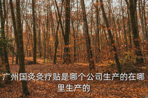 廣州國(guó)灸灸療貼是哪個(gè)公司生產(chǎn)的在哪里生產(chǎn)的