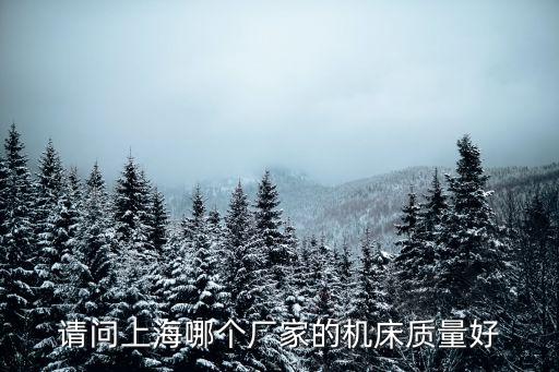 上海市高精度數控車床，上海數控機床哪家好