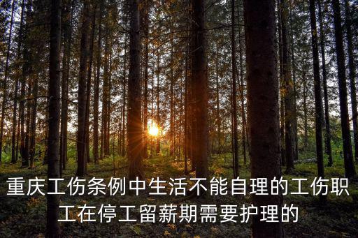 重慶市停工留薪期由誰支付，重慶工傷條例中生活不能自理的工傷職工在停工留薪期需要護理的