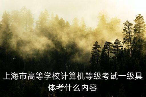 上海市高等學校計算機等級考試一級具體考什么內容