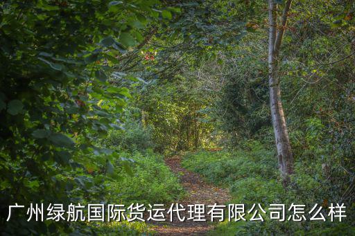 廣州綠航國際貨運代理有限公司怎么樣