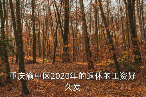 重慶市退休工資，重慶市2O19年企業(yè)退休平均工資是多少