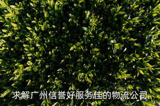 求解廣州信譽好服務佳的物流公司