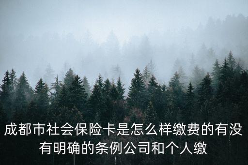 成都市社會保險卡是怎么樣繳費的有沒有明確的條例公司和個人繳