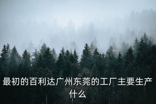 最初的百利達廣州東莞的工廠主要生產什么