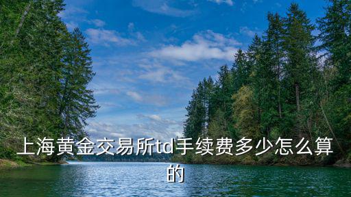 上海黃金交易所td手續費多少怎么算的
