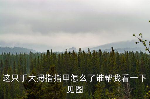 這只手大拇指指甲怎么了誰幫我看一下見圖