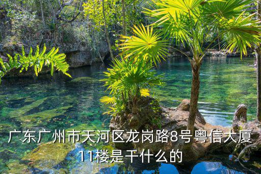 廣東廣州市天河區龍崗路8號粵信大廈11樓是干什么的