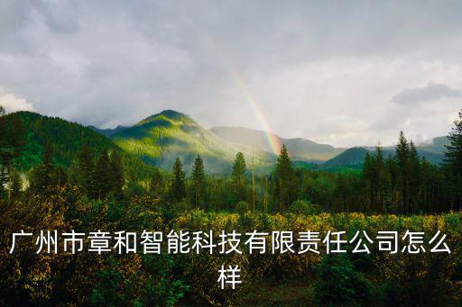 廣州市章和智能科技有限責任公司怎么樣