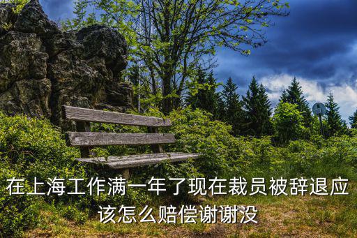 上海市經(jīng)濟(jì)性裁員，求上海對企業(yè)個(gè)別裁員的規(guī)定不是勞動(dòng)合同法的經(jīng)濟(jì)性裁員而是個(gè)