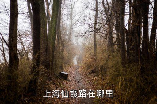 上海仙霞路在哪里